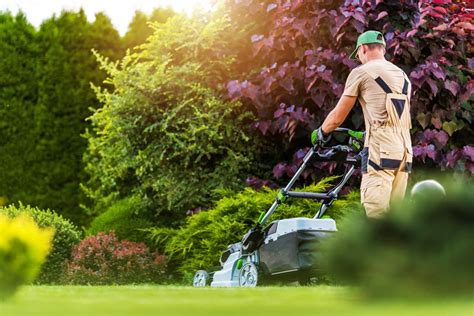 Sign up for free to see lawn mowing providers around you instantly No telephone or credit card required to sign up. . Lawn cutting service near me